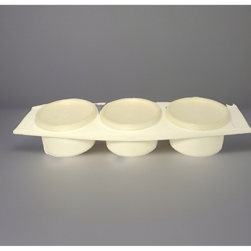 VTG Tupperware VTG 3-in-1 Condiment Tray 732 Lids Tupper Seals 733 Server Caddy